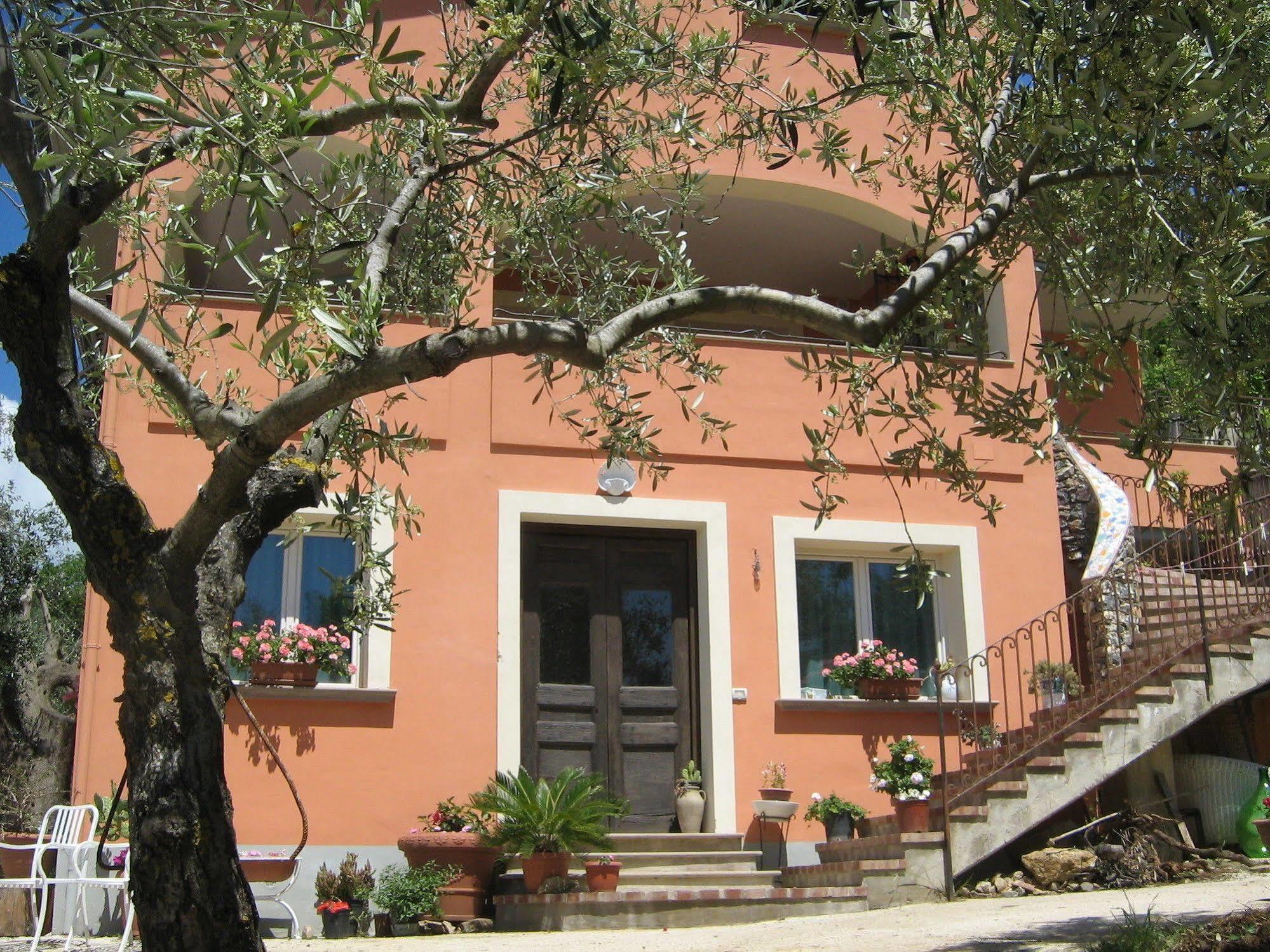 Villa Santa Sofia Ascea Eksteriør bilde